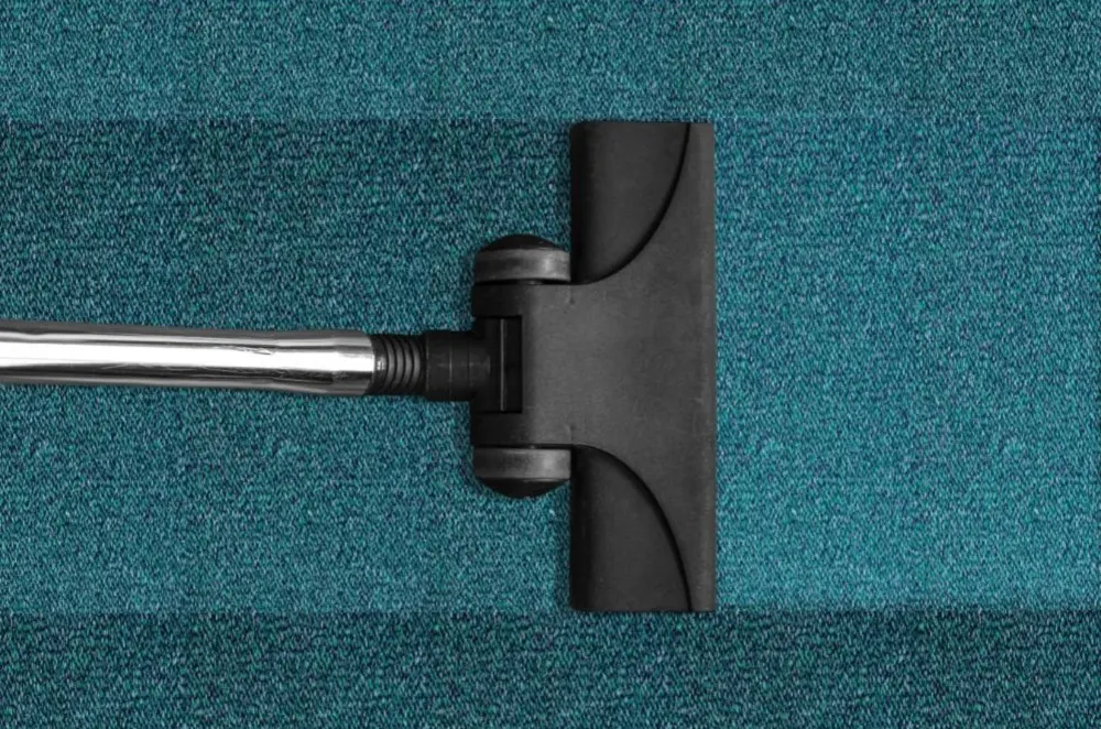 Regular Dusting and Vacuuming