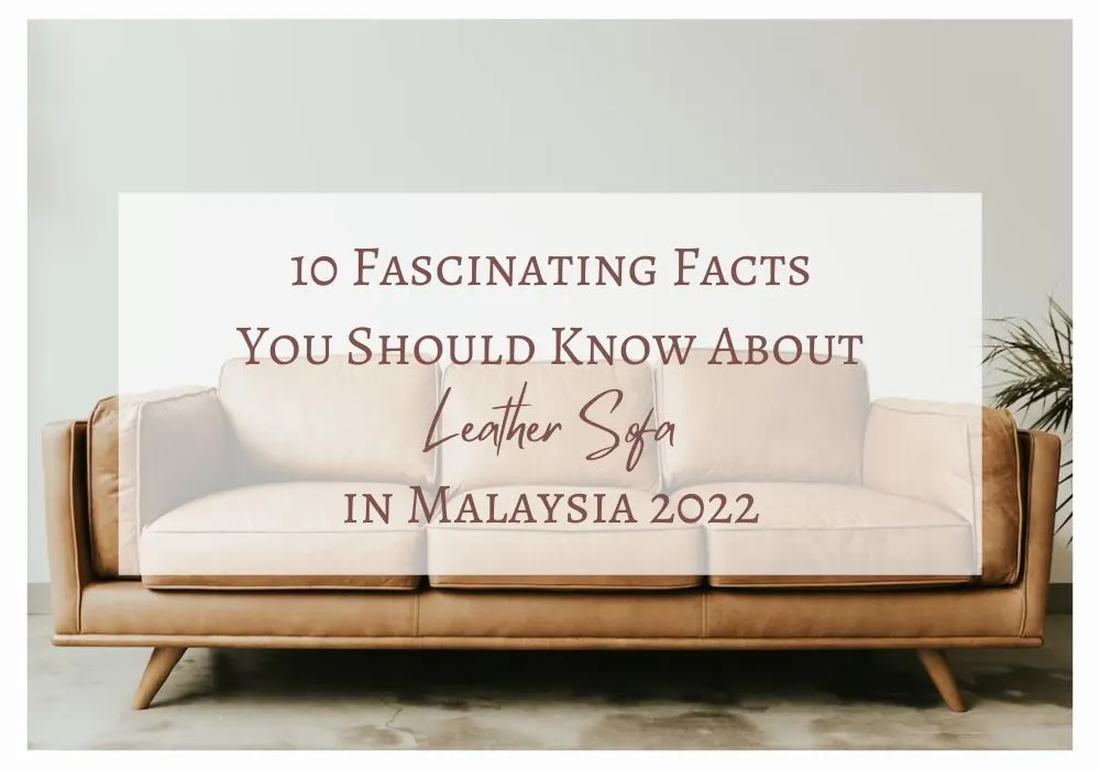 10 Fascinating Facts You Should Know About Leather Sofa in Malaysia 2022